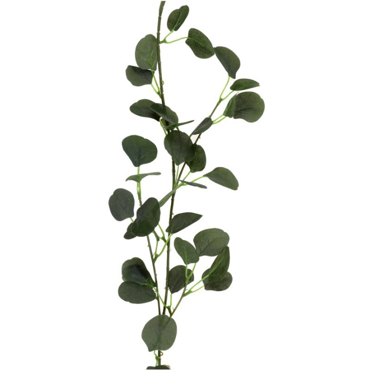 Guirlande d'eucalyptus - 1.40 m | Le Géant de la Fête