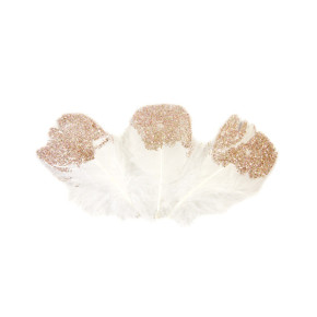 Plumes pailletées - lot de 25 | Le Géant de la Fête