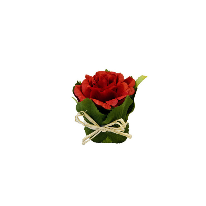 Pot de rose et feuillage | Le Géant de la Fête