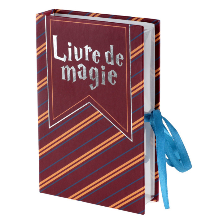 Boîte livre - Sorcier | Le Géant de la Fête