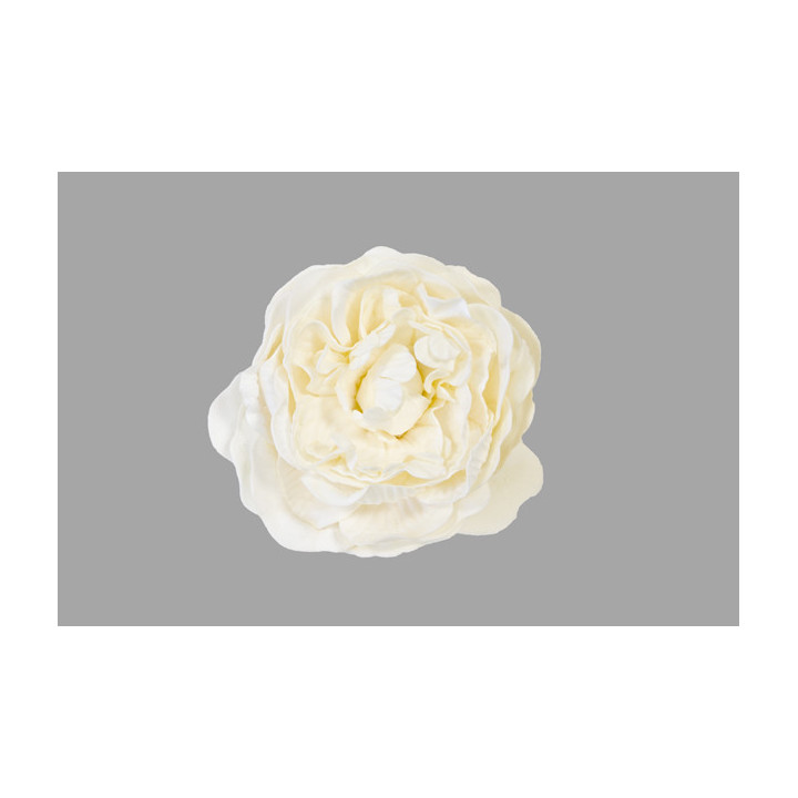 Rose ancienne soft | Le Géant de la Fête