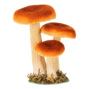 Champignons x3 sur socle bois mousse - Oranger | Le Géant de la Fête