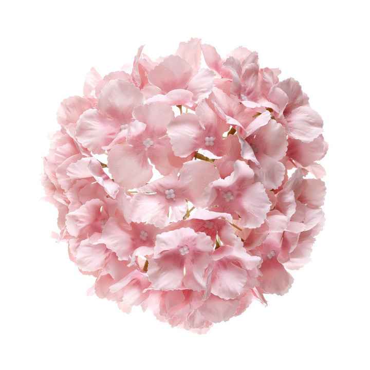 Boule d'hortensia - Rose | Le Géant de la Fête