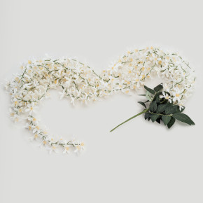 Chute de fleurs de jasmin - 1.68 m | Le Géant de la Fête