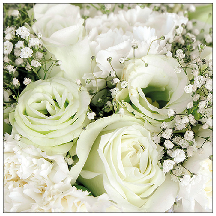 Serviettes décorées - Roses blanches - lot de 20 | Le Géant de la Fête