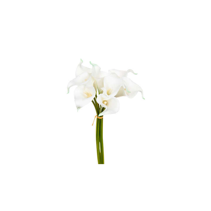 Bouquet d'arum - lot de 8 - Blanc | Le Géant de la Fête