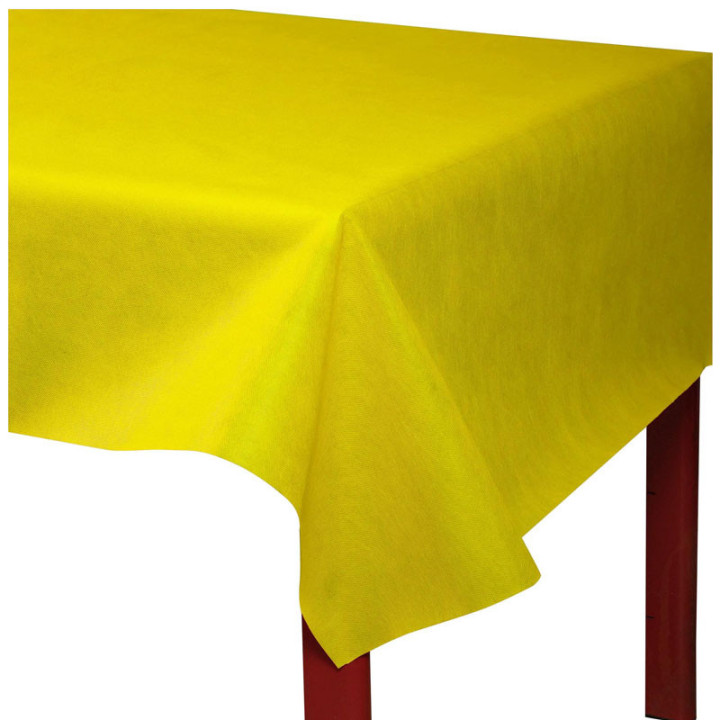 Nappe Spunbond - 10 m | Le Géant de la Fête