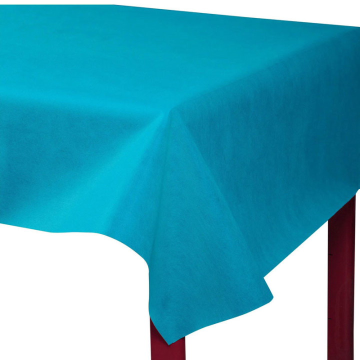 Nappe Spunbond - 50 m | Le Géant de la Fête