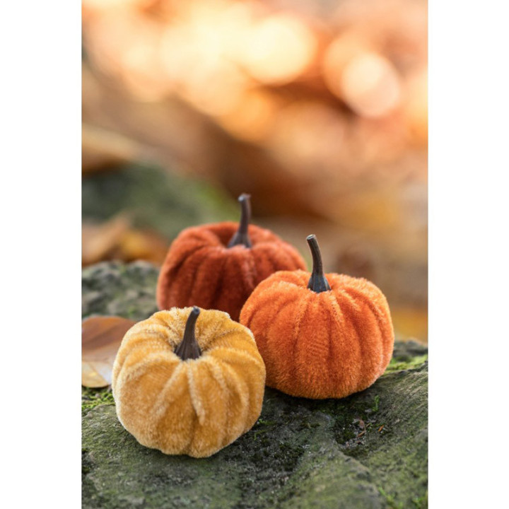 Citrouilles en velours - lot de 9 | Le Géant de la Fête