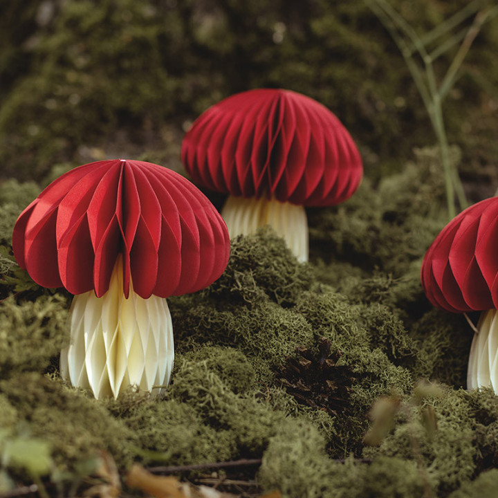 Champignon alvéolé | Le Géant de la Fête