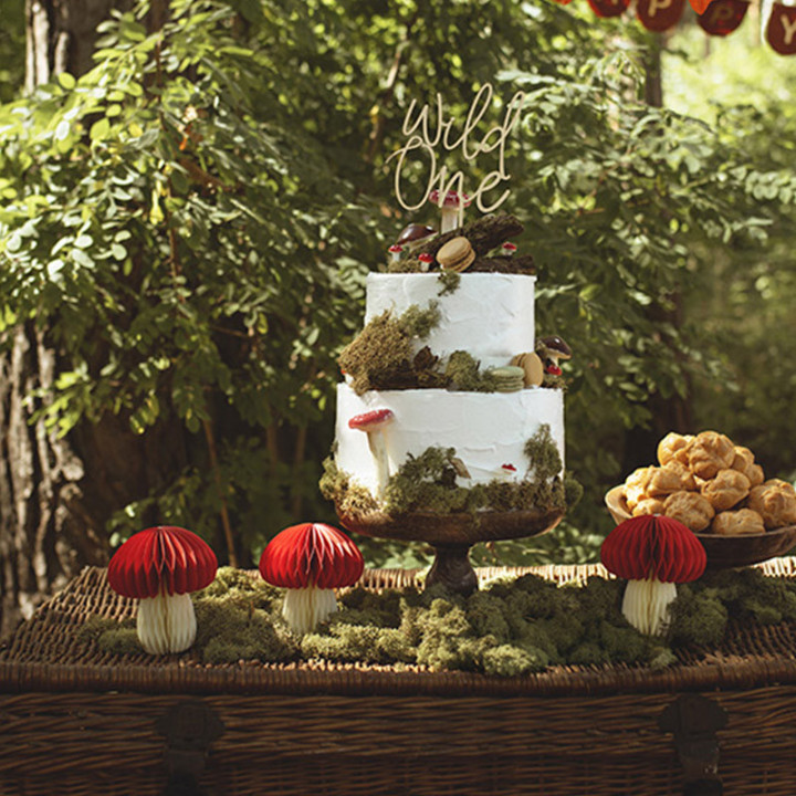 Champignon alvéolé | Le Géant de la Fête