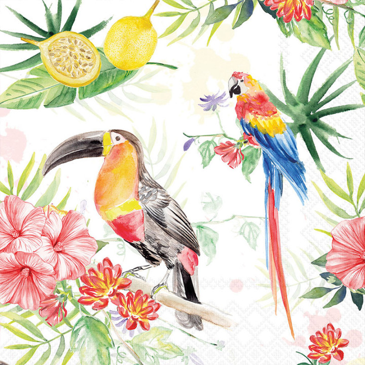 Serviettes décorées - Oiseaux des Tropiques - lot de 20 | Le Géant de la Fête