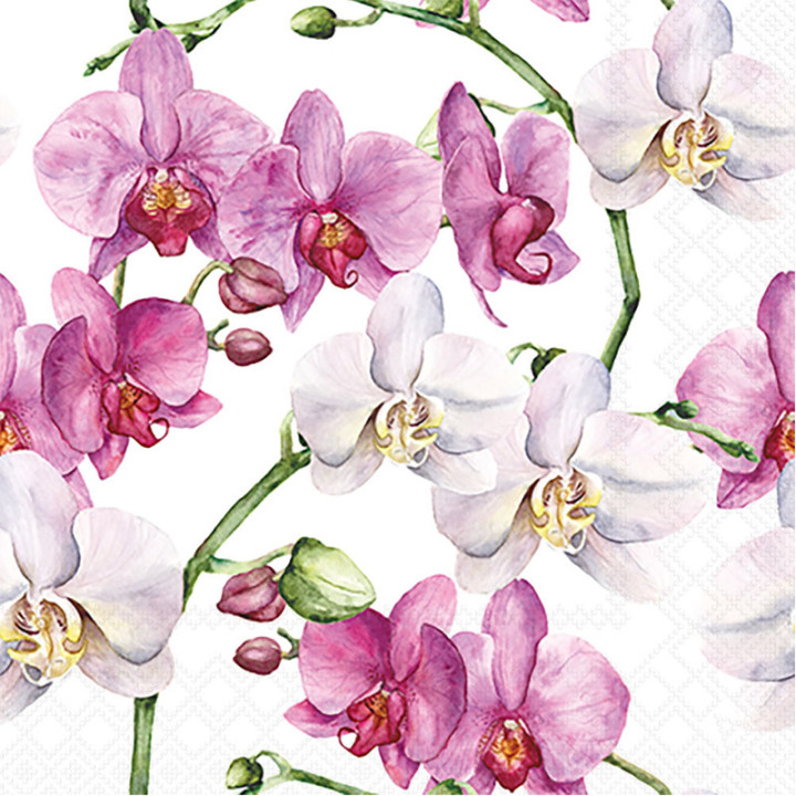 Serviettes cocktail décorées - Orchidées - lot de 20 | Le Géant de la Fête