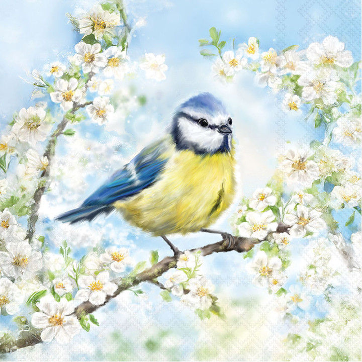 Serviettes cocktail décorées - Mésange - lot de 20 | Le Géant de la Fête
