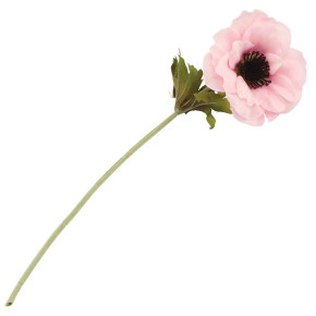 Tige d'Anémone nymphea - Rose | Le Géant de la Fête