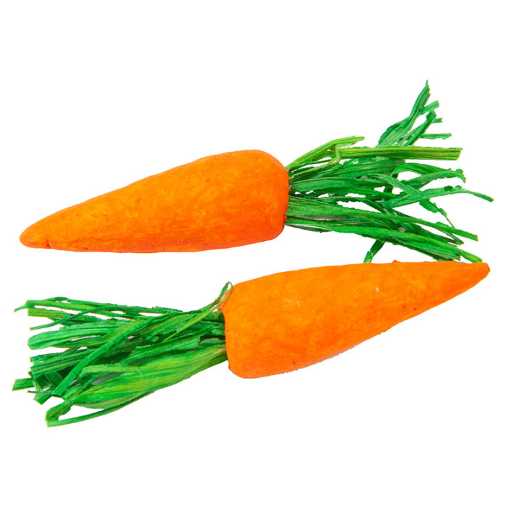 Carottes en polyfoam - lot de 12 | Le Géant de la Fête