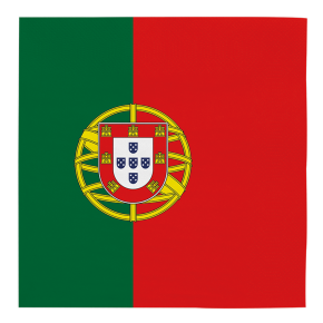 Serviettes - Drapeau Portugal - lot de 20 | Le Géant de la Fête