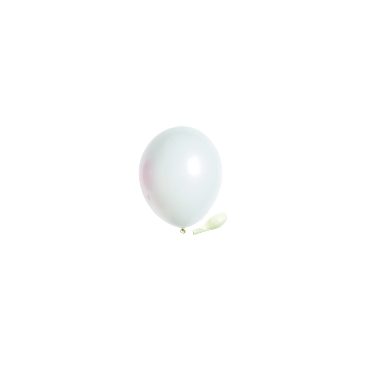 Ballons standards (lot de 20) | Le Géant de la Fête