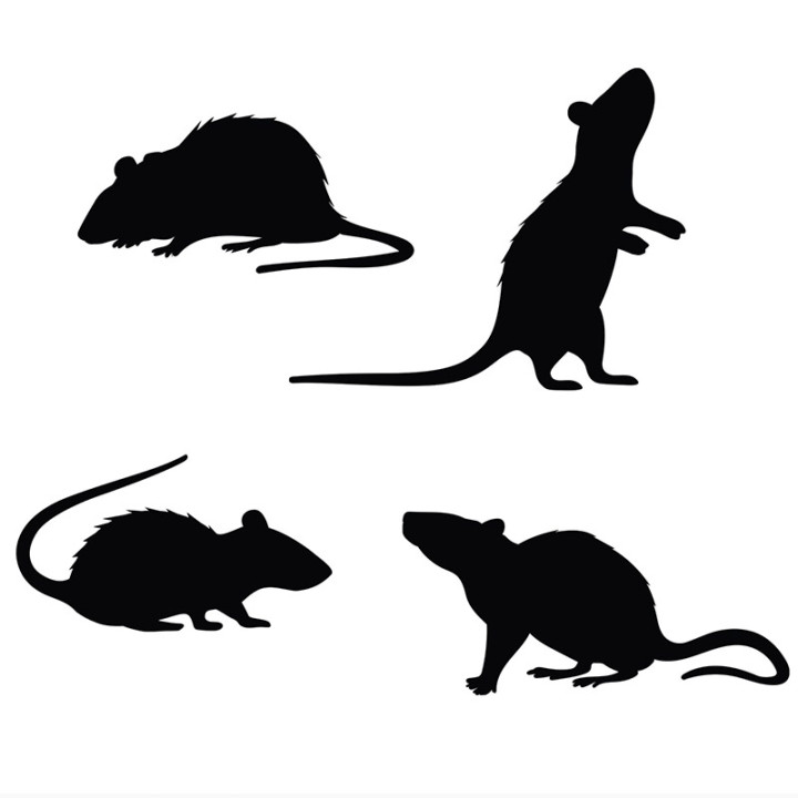 Silhouettes de rats - 4 pièces | Le Géant de la Fête