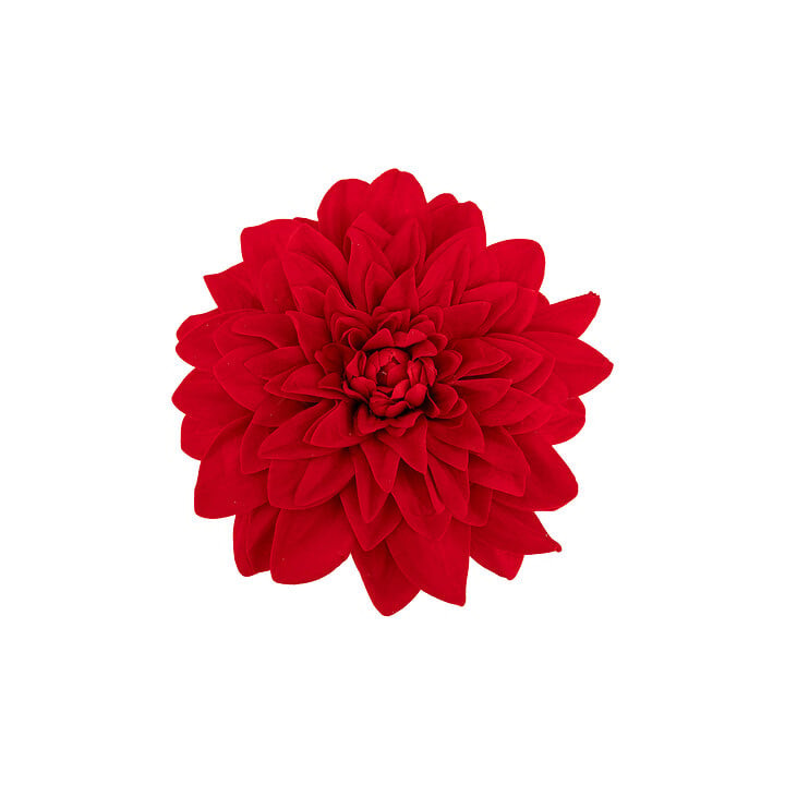 Dalhia en pince - Rouge | Le Géant de la Fête