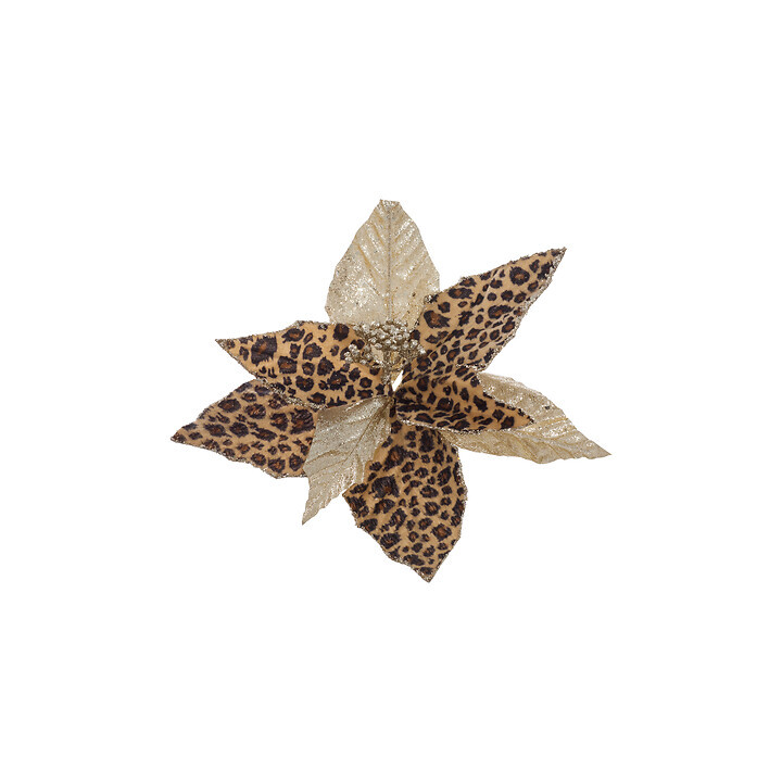 Poinsettia - Léopard - 24 cm - Doré | Le Géant de la Fête