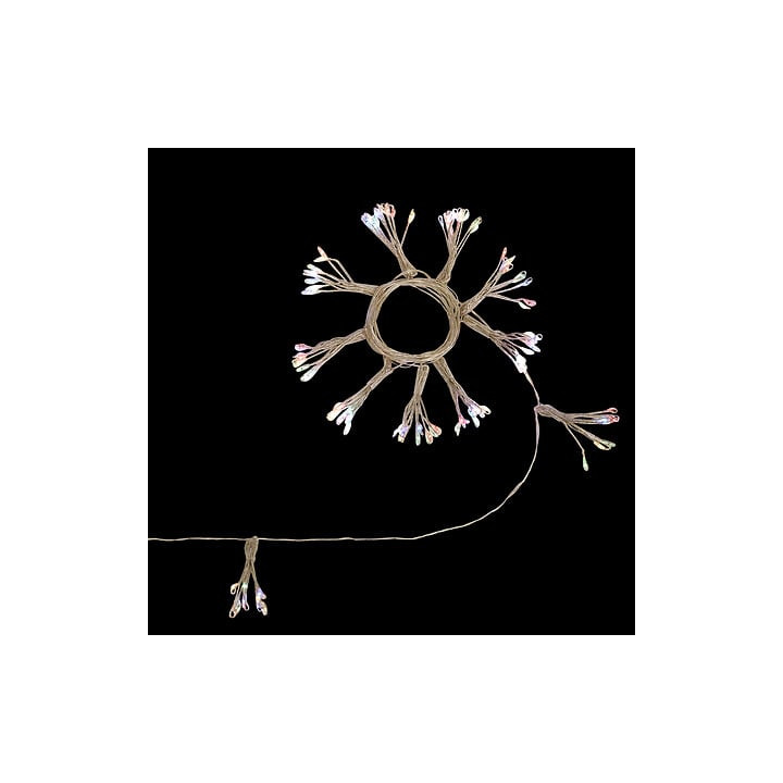 Guirlande lumineuse sur secteur - Pompons - 5 m - Multicolore | Le Géant de la Fête