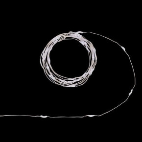 Guirlande micro LEDs intérieur - 2 m - Blanc froid | Le Géant de la Fête