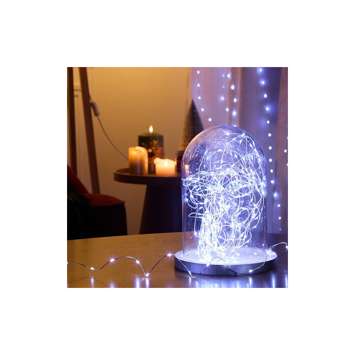 Guirlande micro LEDs intérieur - 2 m - Blanc froid | Le Géant de la Fête