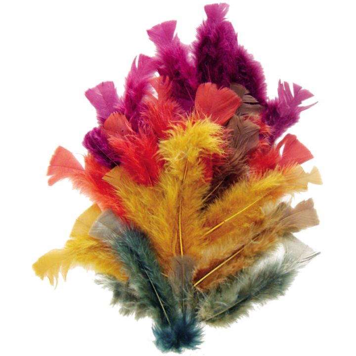Plume 10 cm ( sachet de 100 ) couleurs d'automne | Le Géant de la Fête