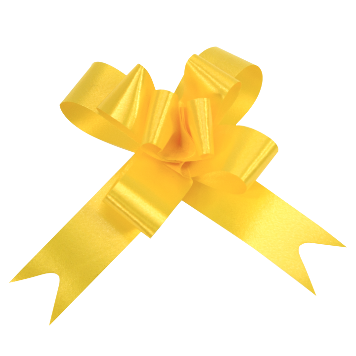Noeud à tirer mini - 4.5 cm - lot de 20 | Le Géant de la Fête